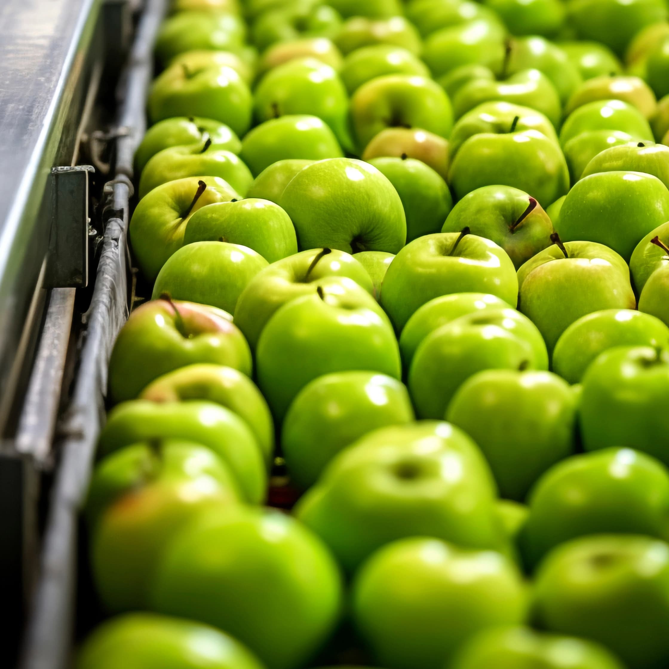 Food Processing