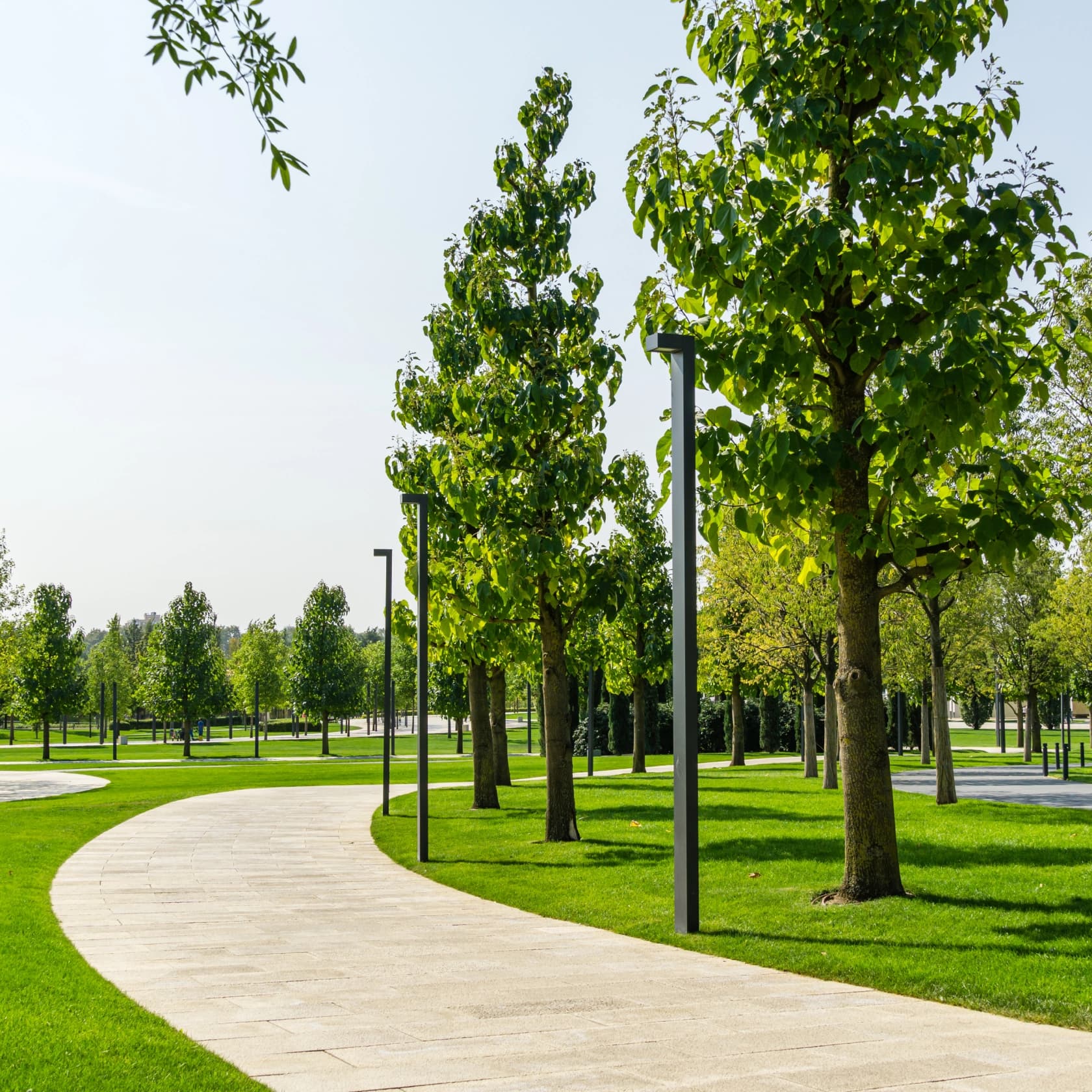 Green & Open Spaces